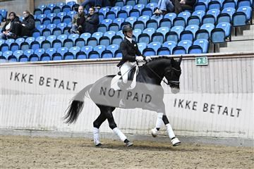 182241_kbb_01_Z093431.JPG