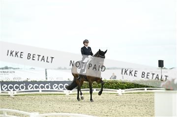 181449_kbb_03_Z092104.JPG