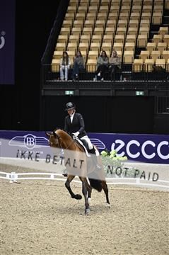 182194_kbb_01_Z097234.JPG
