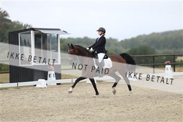 181894_mtp_04_R62_3469.JPG