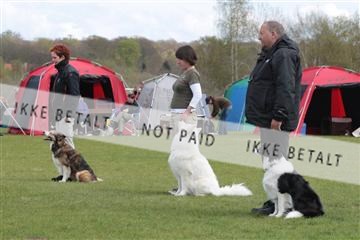 124188 _tl_02_IMG_9449.JPG