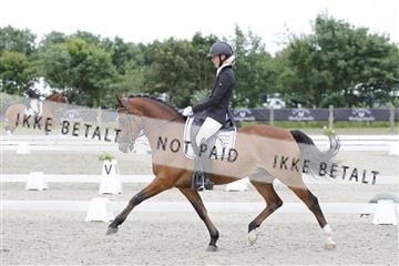166078_rhj_01__J7R3316.JPG