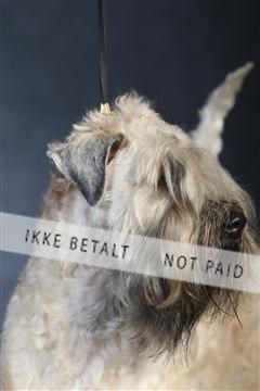 132082_le_ 01_IMG_1025.JPG