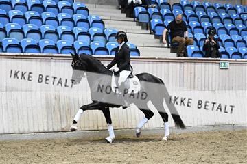 182241_kbb_01_Z094410.JPG