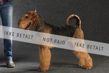 132082_le_ 01_IMG_0450.JPG