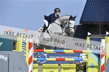 139644_abo_02__AB14685.JPG