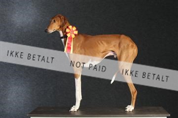 132082_le_ 01_IMG_0070.JPG