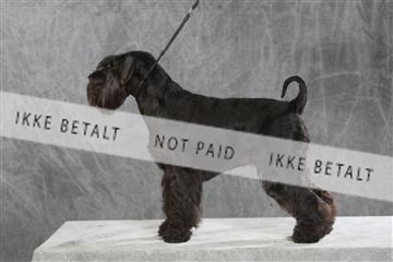 130054_le_ 03_0270.JPG