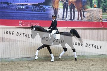 181887_mtp_04_R62_9141.JPG