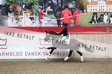 181957_avh_01_3729.JPG