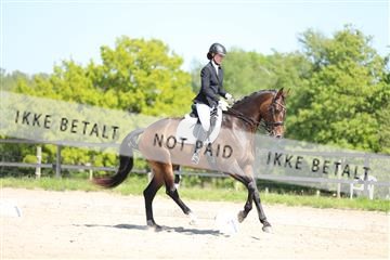 168732_mtp_01_3M5A7925.JPG