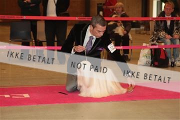 124188 _tl_02_IMG_9704.JPG