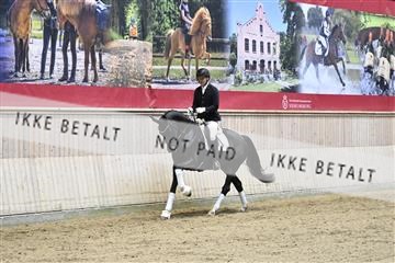 182241_kbb_01_Z094144.JPG