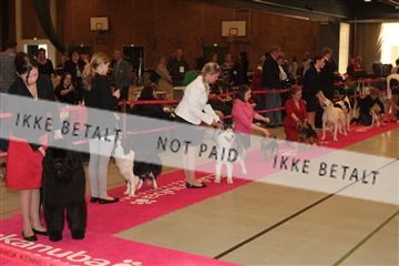 124188 _tl_02_IMG_9515.JPG