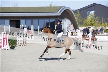 181332_kbb_01_6II3637.JPG