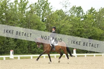 139835_sg_01_IMG_7232.JPG