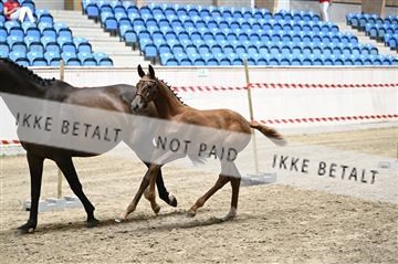 181754_kbb_01_Z094003.JPG