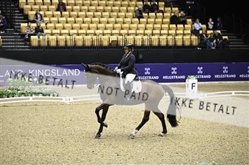 182194_kbb_02_Z098710.JPG