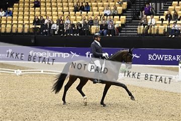 182194_kbb_03_Z091240.JPG