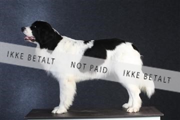 132082_le_ 01_IMG_0573.JPG