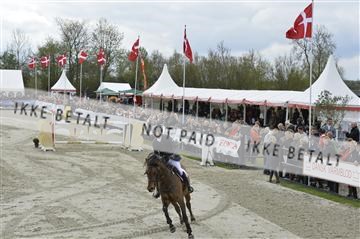 139644_abo_09__AB10517.JPG