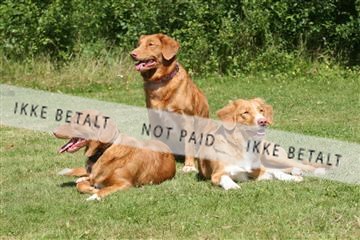 130370_se_03_IMG_7351.JPG