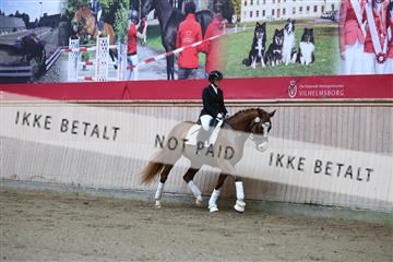 181887_mtp_02_R62_7308.JPG