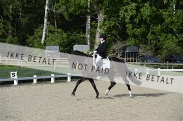 139898_ms_02__MS28753.JPG