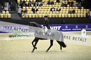 182194_kbb_02_Z098998.JPG