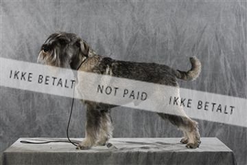 128239_le_kort_ 01_0435.JPG