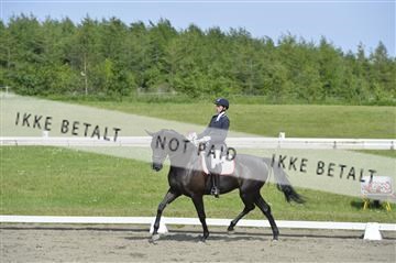 140040_abo_01__AB17358.JPG
