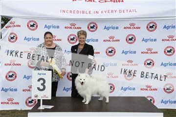 181848_kar_01__62_4637.JPG