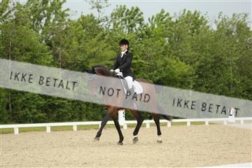 139835_sg_01_IMG_7431.JPG