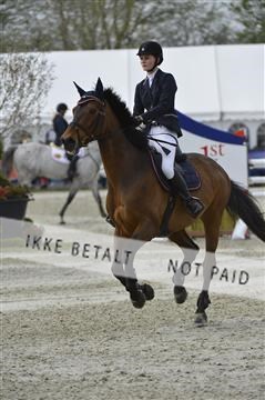 139644_abo_03__AB14949.JPG
