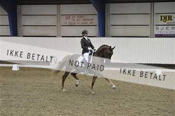 140040_abo_01__AB17872.JPG