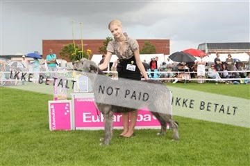 130370_le_02_IMG_8685.JPG