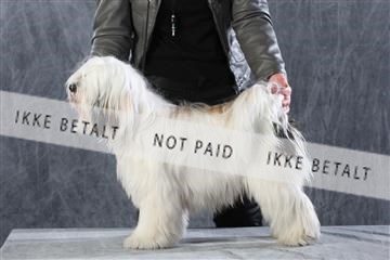 128239_le_kort_ 01_0071.JPG