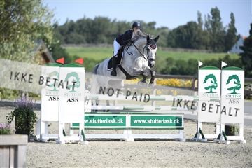 169152_abo_01_D05_0560.JPG
