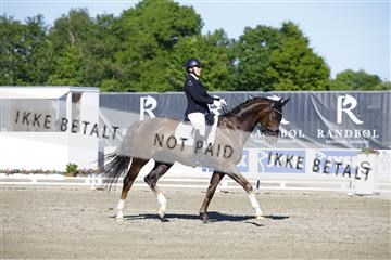 181449_kbb_01_6II9798.JPG