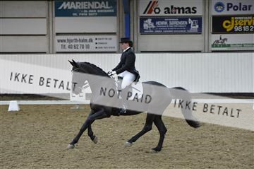 140040_abo_02__AB19503.JPG