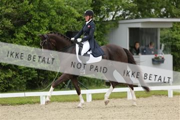 139835_sg_01_IMG_7993.JPG
