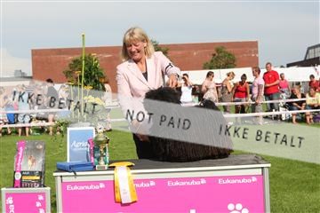 130370_se_02_IMG_6686.JPG