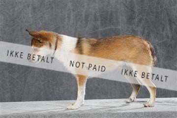 130054_le_ 03_0197.JPG