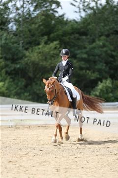 156196_nn_01_IMG_6211.JPG