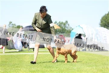 181564_rin_01_R62_7648.JPG