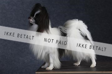 132082_le_ 01_IMG_1574.JPG