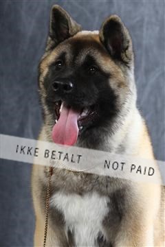 129608_le_ 01_0707.JPG