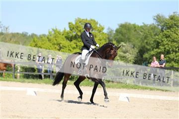 168732_mtp_01_3M5A8351.JPG