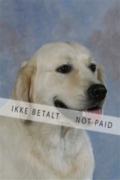 5493_sme _03__MG_9855.JPG