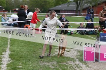 134871_ms_04_IMG_0206.JPG